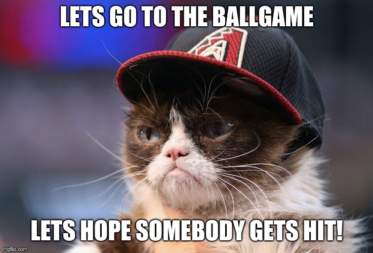 LETS GO TO THE BALLGAME; LETS HOPE SOMEBODY GETS HIT! | image tagged in grumpy cat | made w/ Imgflip meme maker