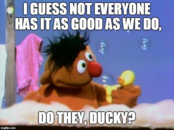 Ernie bathtub | I GUESS NOT EVERYONE HAS IT AS GOOD AS WE DO, DO THEY, DUCKY? | image tagged in ernie bathtub | made w/ Imgflip meme maker
