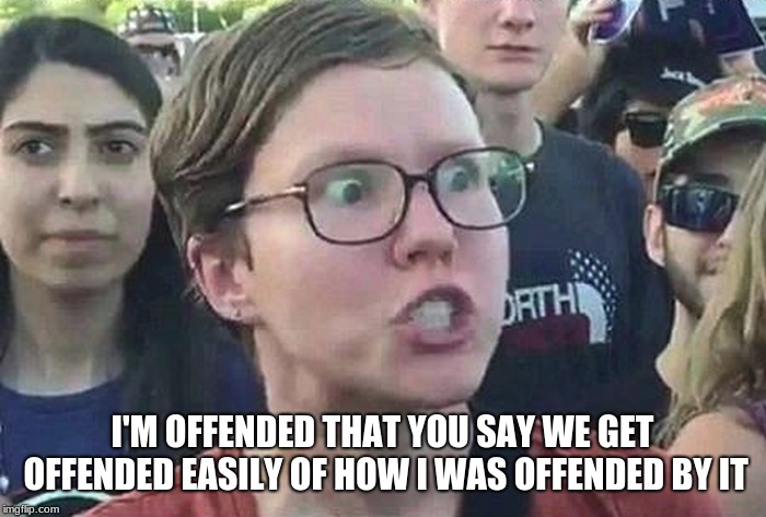Triggered Liberal | I'M OFFENDED THAT YOU SAY WE GET OFFENDED EASILY OF HOW I WAS OFFENDED BY IT | image tagged in triggered liberal | made w/ Imgflip meme maker
