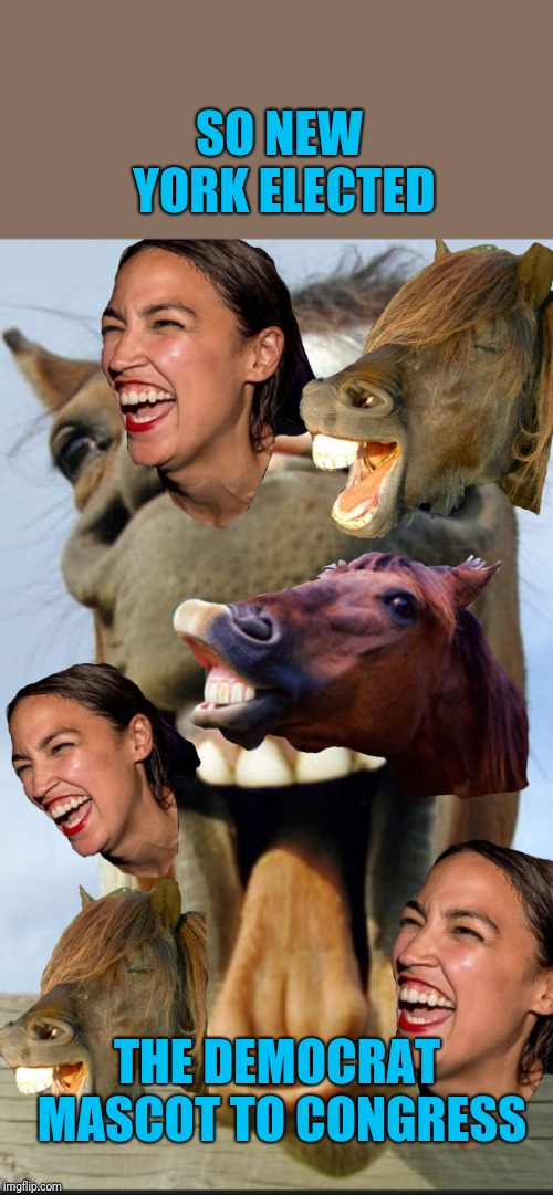 Democrat donkey | SO NEW YORK ELECTED; THE DEMOCRAT MASCOT TO CONGRESS | image tagged in horsing around,democrat donkey | made w/ Imgflip meme maker