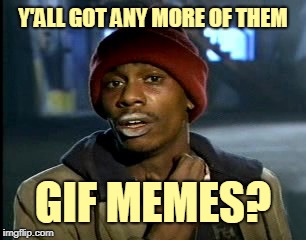 Y'all got anymore of them | Y'ALL GOT ANY MORE OF THEM GIF MEMES? | image tagged in y'all got anymore of them | made w/ Imgflip meme maker