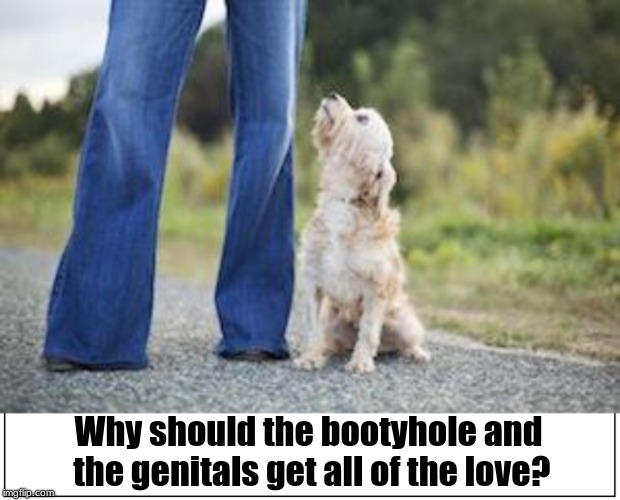 Showing why the pet dog is the only one that truly appreciates the human gooch. | Why should the bootyhole and the genitals get all of the love? | image tagged in memes,dogs | made w/ Imgflip meme maker