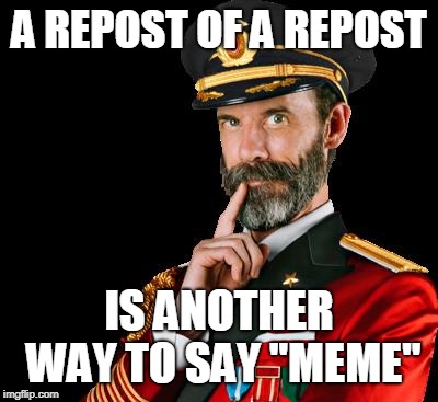captain obvious | A REPOST OF A REPOST IS ANOTHER WAY TO SAY "MEME" | image tagged in captain obvious | made w/ Imgflip meme maker