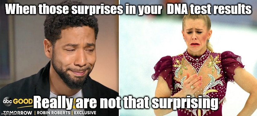 Would not be surprising | When those surprises in your  DNA test results; Really are not that surprising | image tagged in jussie smollett,tonya harding | made w/ Imgflip meme maker