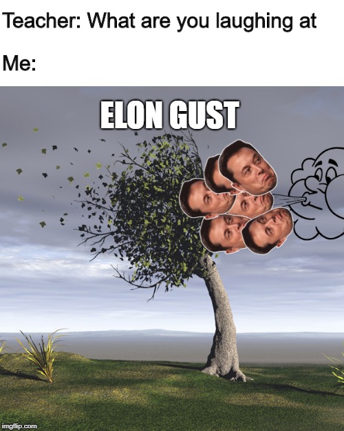 Teacher: What are you laughing at; Me:; ELON GUST | image tagged in elon musk | made w/ Imgflip meme maker