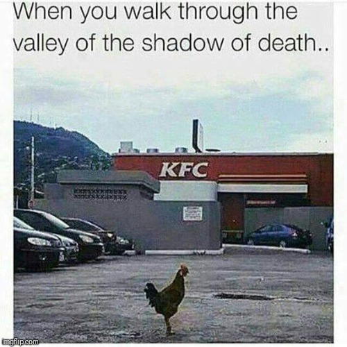 image tagged in memes,funny memes,fried chicken,kfc | made w/ Imgflip meme maker