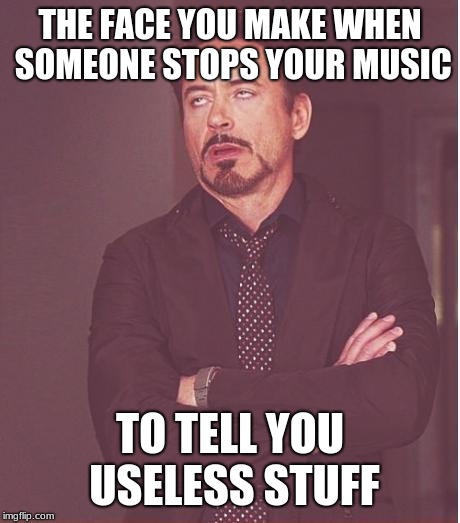 Face You Make Robert Downey Jr Meme | THE FACE YOU MAKE WHEN SOMEONE STOPS YOUR MUSIC; TO TELL YOU USELESS STUFF | image tagged in memes,face you make robert downey jr | made w/ Imgflip meme maker
