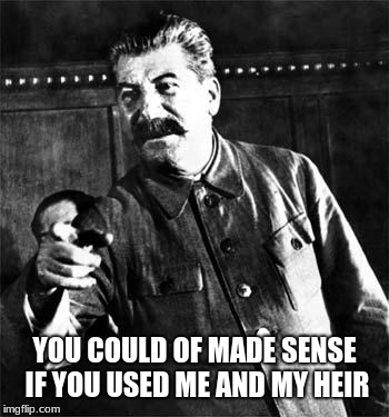 Stalin | YOU COULD OF MADE SENSE IF YOU USED ME AND MY HEIR | image tagged in stalin | made w/ Imgflip meme maker