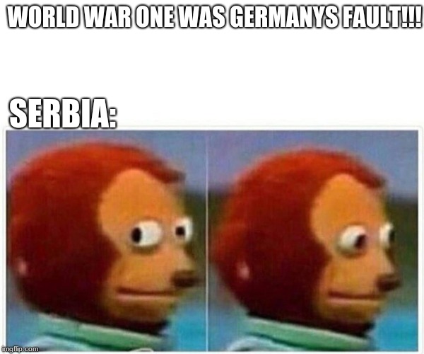Monkey Puppet Meme | WORLD WAR ONE WAS GERMANYS FAULT!!! SERBIA: | image tagged in monkey puppet | made w/ Imgflip meme maker