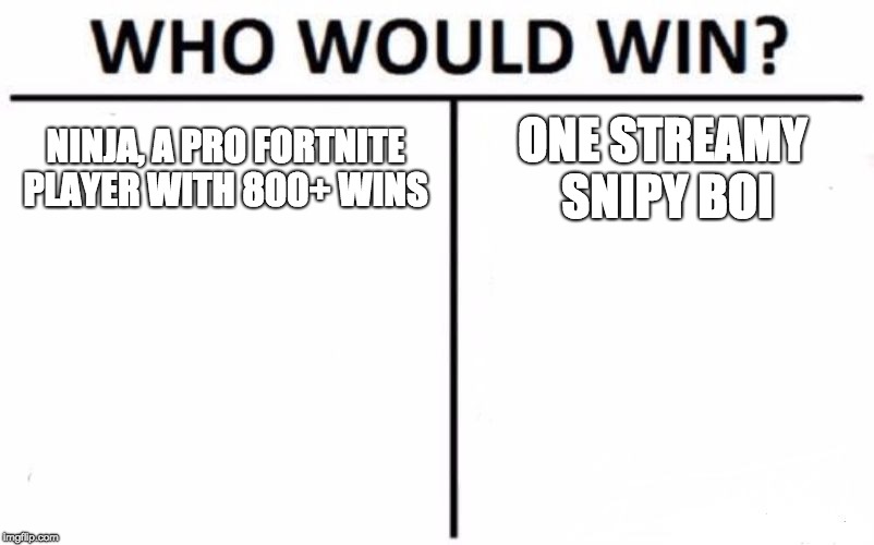 Who Would Win? Meme | NINJA, A PRO FORTNITE PLAYER WITH 800+ WINS; ONE STREAMY SNIPY BOI | image tagged in memes,who would win | made w/ Imgflip meme maker