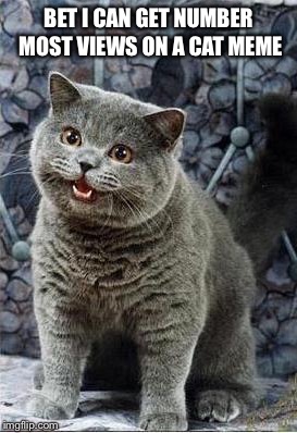 I can has cheezburger cat | BET I CAN GET NUMBER MOST VIEWS ON A CAT MEME | image tagged in i can has cheezburger cat | made w/ Imgflip meme maker