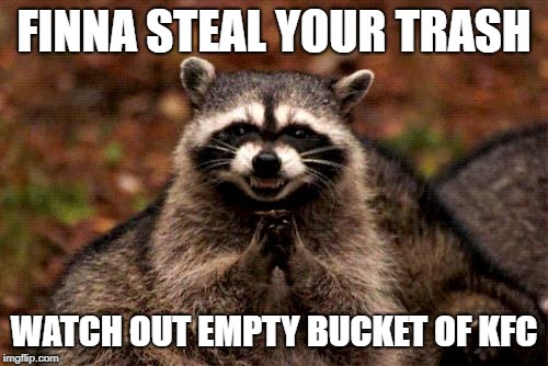 Evil Plotting Raccoon Meme | FINNA STEAL YOUR TRASH; WATCH OUT EMPTY BUCKET OF KFC | image tagged in memes,evil plotting raccoon | made w/ Imgflip meme maker