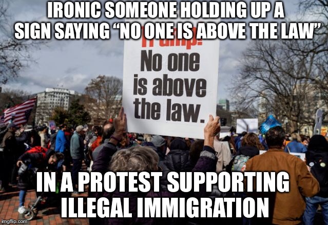 IRONIC SOMEONE HOLDING UP A SIGN SAYING “NO ONE IS ABOVE THE LAW”; IN A PROTEST SUPPORTING ILLEGAL IMMIGRATION | image tagged in libtards,liberal hypocrisy,illegal immigration,president trump,trump russia | made w/ Imgflip meme maker