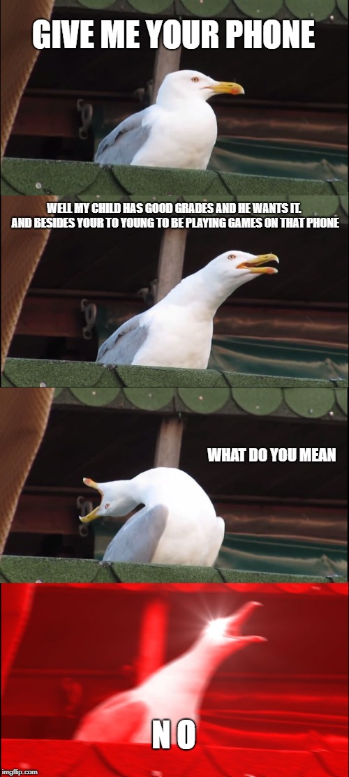 Inhaling Seagull | GIVE ME YOUR PHONE; WELL MY CHILD HAS GOOD GRADES AND HE WANTS IT. AND BESIDES YOUR TO YOUNG TO BE PLAYING GAMES ON THAT PHONE; WHAT DO YOU MEAN; N O | image tagged in memes,inhaling seagull | made w/ Imgflip meme maker