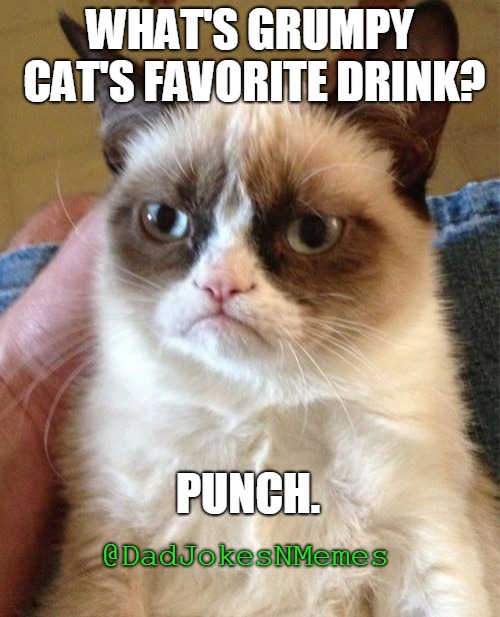 This one hit me from out of nowhere. | WHAT'S GRUMPY CAT'S FAVORITE DRINK? PUNCH. @DadJokesNMemes | image tagged in memes,grumpy cat | made w/ Imgflip meme maker