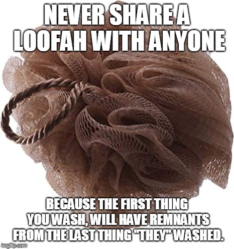 DIRTY LOOFAH | NEVER SHARE A LOOFAH WITH ANYONE; BECAUSE THE FIRST THING YOU WASH, WILL HAVE REMNANTS FROM THE LAST THING "THEY" WASHED. | image tagged in loofah,wash,bath,sharing | made w/ Imgflip meme maker