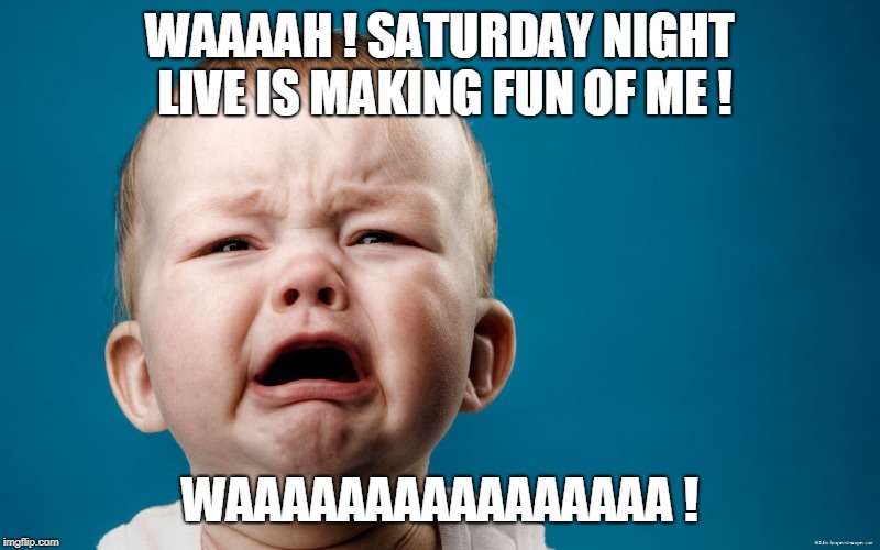 WAAAAH ! SATURDAY NIGHT LIVE IS MAKING FUN OF ME ! WAAAAAAAAAAAAAAAA ! | image tagged in trump,saturday night live | made w/ Imgflip meme maker