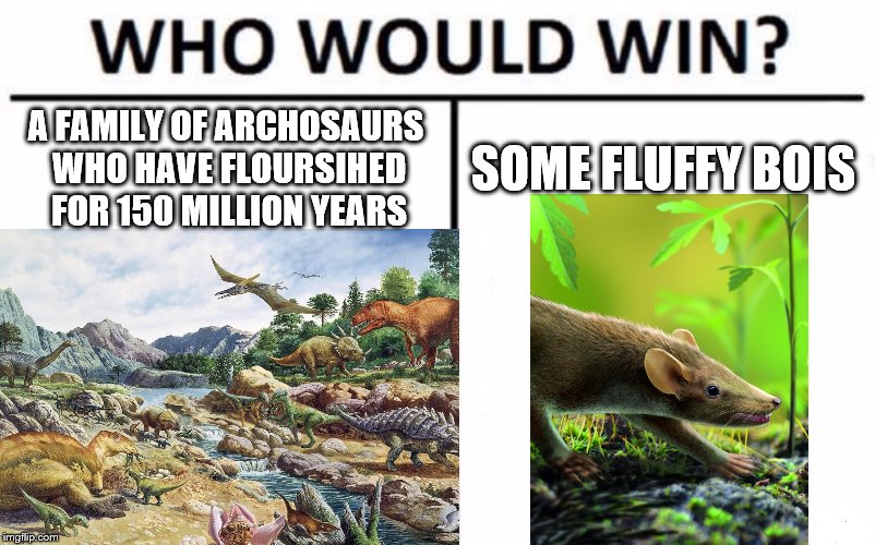 A FAMILY OF ARCHOSAURS WHO HAVE FLOURSIHED FOR 150 MILLION YEARS; SOME FLUFFY BOIS | made w/ Imgflip meme maker