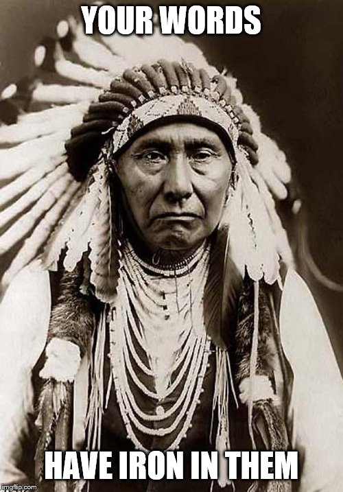 Indian Chief | YOUR WORDS HAVE IRON IN THEM | image tagged in indian chief | made w/ Imgflip meme maker