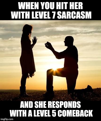 Proposal  | WHEN YOU HIT HER WITH LEVEL 7 SARCASM; AND SHE RESPONDS WITH A LEVEL 5 COMEBACK | image tagged in proposal | made w/ Imgflip meme maker