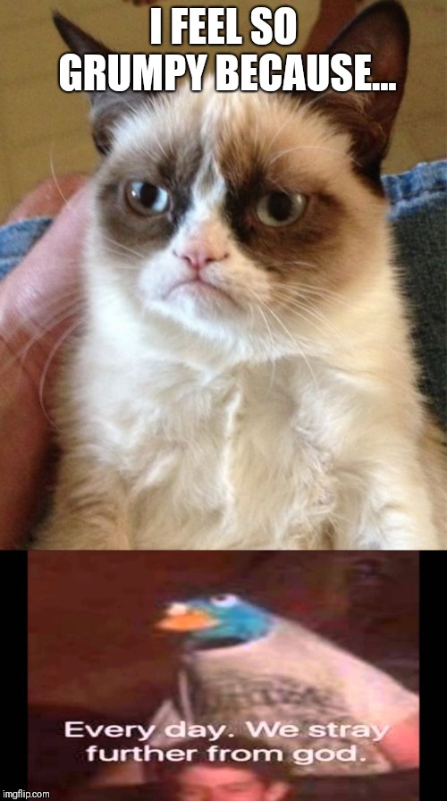 I FEEL SO GRUMPY BECAUSE... | image tagged in memes,grumpy cat,every day we stray further from god | made w/ Imgflip meme maker