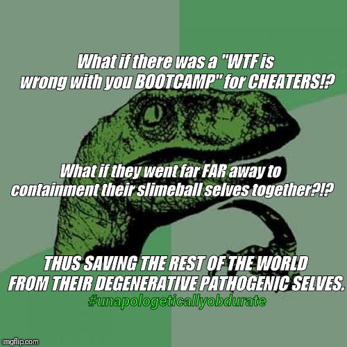 Cheaters need Bootcamp  | What if there was a "WTF is wrong with you BOOTCAMP" for CHEATERS!? What if they went far FAR away to containment their slimeball selves together?!? THUS SAVING THE REST OF THE WORLD FROM THEIR DEGENERATIVE PATHOGENIC SELVES. #unapologeticallyobdurate | image tagged in memes,philosoraptor,wtf,cheaters,cheating,first world problems | made w/ Imgflip meme maker