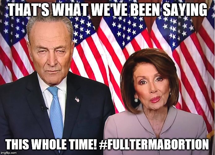 Chuck and Nancy | THAT'S WHAT WE'VE BEEN SAYING THIS WHOLE TIME! #FULLTERMABORTION | image tagged in chuck and nancy | made w/ Imgflip meme maker