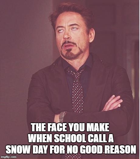 Snow day | THE FACE YOU MAKE WHEN SCHOOL CALL A SNOW DAY FOR NO GOOD REASON | image tagged in memes,face you make robert downey jr | made w/ Imgflip meme maker