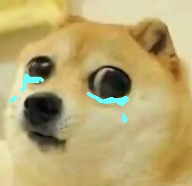 big eyes crying doge Blank Meme Template