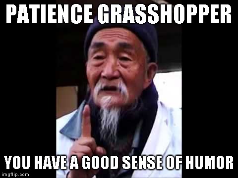 Wise Chinese | PATIENCE GRASSHOPPER YOU HAVE A GOOD SENSE OF HUMOR | image tagged in wise chinese | made w/ Imgflip meme maker