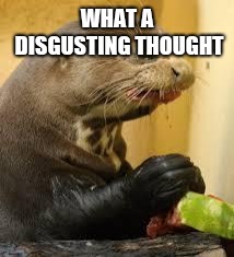 Disgusted Otter | WHAT A DISGUSTING THOUGHT | image tagged in disgusted otter | made w/ Imgflip meme maker