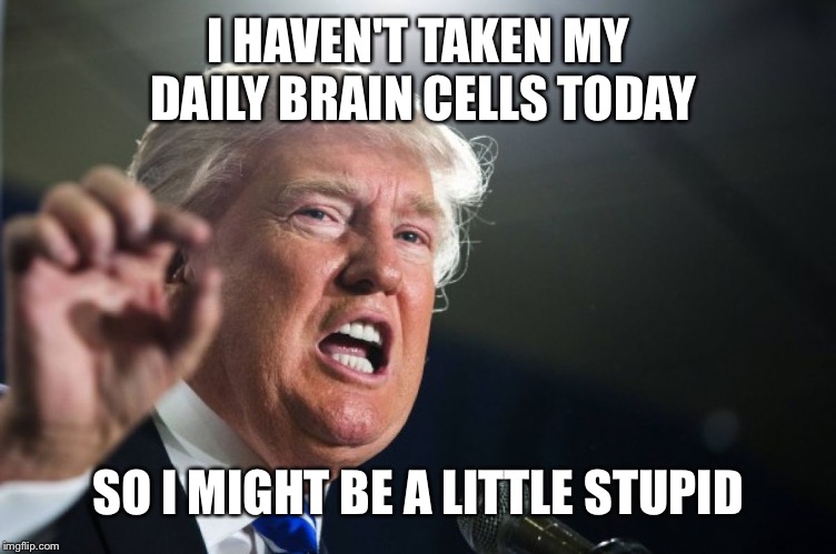 donald trump | I HAVEN'T TAKEN MY DAILY BRAIN CELLS TODAY; SO I MIGHT BE A LITTLE STUPID | image tagged in donald trump | made w/ Imgflip meme maker