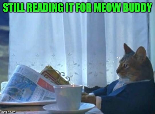 Cat newspaper | STILL READING IT FOR MEOW BUDDY | image tagged in cat newspaper | made w/ Imgflip meme maker