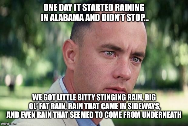 And Just Like That | ONE DAY IT STARTED RAINING IN ALABAMA AND DIDN’T STOP... WE GOT LITTLE BITTY STINGING RAIN, BIG OL’ FAT RAIN, RAIN THAT CAME IN SIDEWAYS, AND EVEN RAIN THAT SEEMED TO COME FROM UNDERNEATH | image tagged in forrest gump | made w/ Imgflip meme maker
