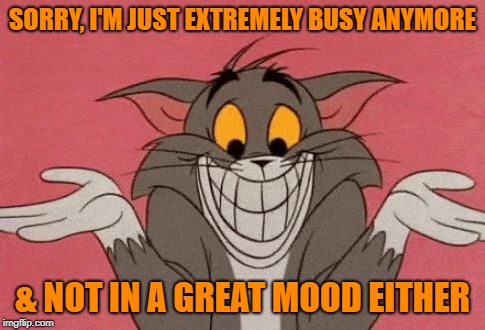 SORRY, I'M JUST EXTREMELY BUSY ANYMORE & NOT IN A GREAT MOOD EITHER | made w/ Imgflip meme maker