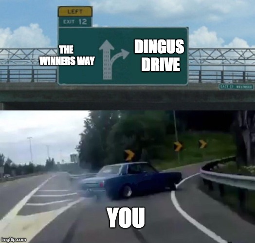 Left Exit 12 Off Ramp Meme | THE WINNERS WAY; DINGUS DRIVE; YOU | image tagged in memes,left exit 12 off ramp | made w/ Imgflip meme maker