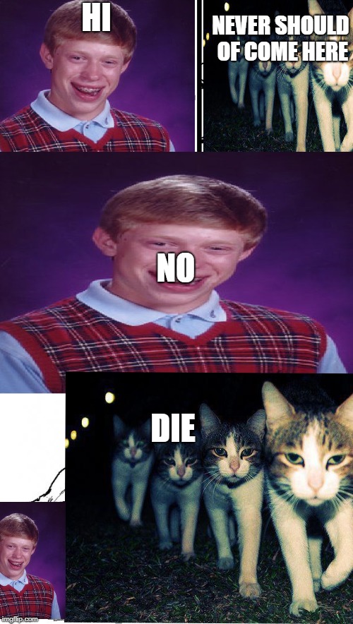 Hey Internet Meme | HI; NEVER SHOULD OF COME HERE; NO; DIE | image tagged in memes,hey internet | made w/ Imgflip meme maker