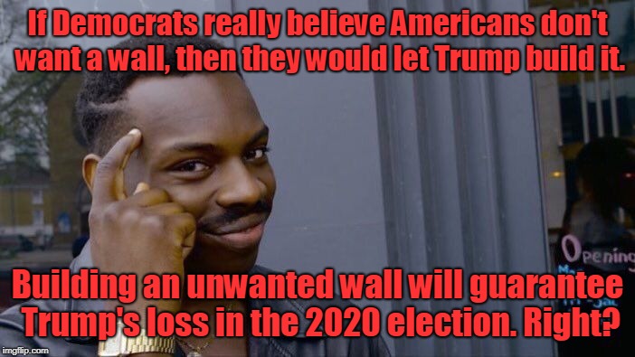 What's their true motive? Think about it. | If Democrats really believe Americans don't want a wall, then they would let Trump build it. Building an unwanted wall will guarantee Trump's loss in the 2020 election. Right? | image tagged in memes,roll safe think about it,wall,democrats,trump,2020 | made w/ Imgflip meme maker