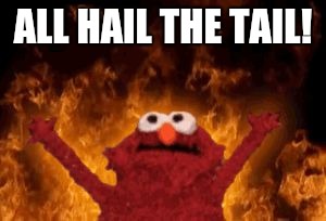 all hail hell elmo | ALL HAIL THE TAIL! | image tagged in all hail hell elmo | made w/ Imgflip meme maker