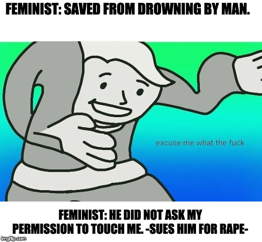next they will call us looking at them perverting | FEMINIST: SAVED FROM DROWNING BY MAN. FEMINIST: HE DID NOT ASK MY PERMISSION TO TOUCH ME. -SUES HIM FOR RAPE- | image tagged in fallout boy excuse me wyf,what we have come to,feminism,feminist,salty,nontpasito | made w/ Imgflip meme maker