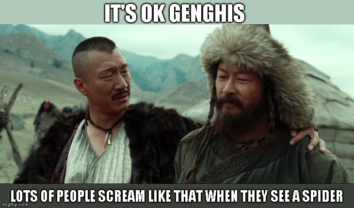 IT'S OK GENGHIS; LOTS OF PEOPLE SCREAM LIKE THAT WHEN THEY SEE A SPIDER | image tagged in genghis khan,fear of spiders,joke,funny | made w/ Imgflip meme maker