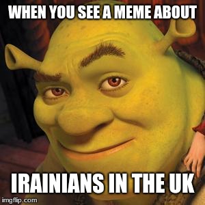 Shrek Sexy Face | WHEN YOU SEE A MEME ABOUT IRANIANS IN THE UK | image tagged in shrek sexy face | made w/ Imgflip meme maker