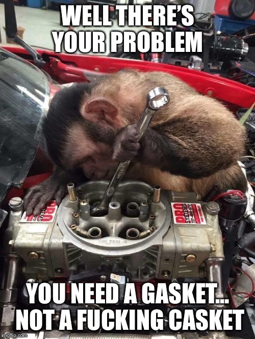 Dealer mechanic | WELL THERE’S YOUR PROBLEM YOU NEED A GASKET... NOT A F**KING CASKET | image tagged in dealer mechanic | made w/ Imgflip meme maker