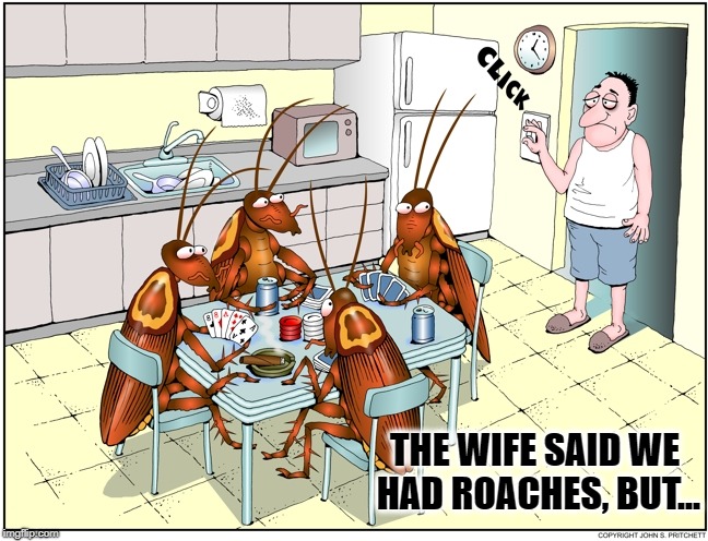 Excuse me, fellas, I'll just head back to bed | THE WIFE SAID WE HAD ROACHES, BUT... | image tagged in vince vance,cockroaches,roach,infestation,roaches playing cards,call the exterminator | made w/ Imgflip meme maker