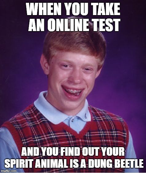 Bad Luck Brian | WHEN YOU TAKE AN ONLINE TEST; AND YOU FIND OUT YOUR SPIRIT ANIMAL IS A DUNG BEETLE | image tagged in memes,bad luck brian | made w/ Imgflip meme maker