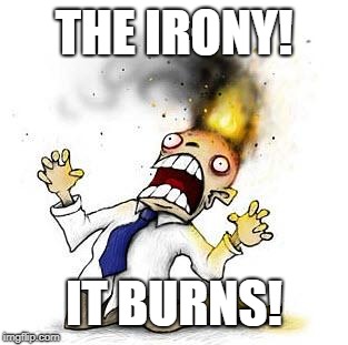 The Irony It Burns!!! | THE IRONY! IT BURNS! | image tagged in the irony it burns | made w/ Imgflip meme maker