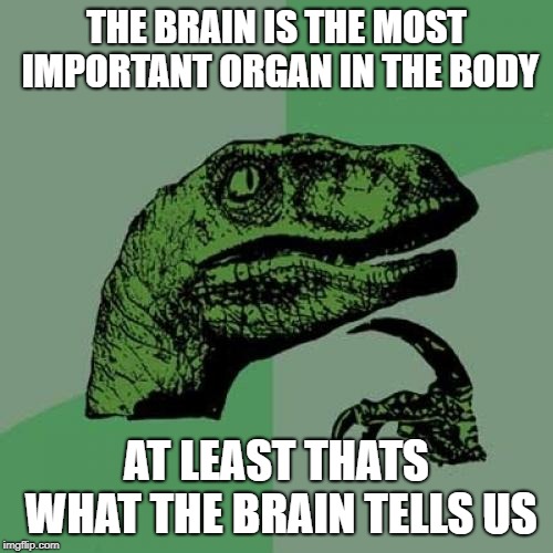 My life is a lie | THE BRAIN IS THE MOST IMPORTANT ORGAN IN THE BODY; AT LEAST THATS WHAT THE BRAIN TELLS US | image tagged in memes,philosoraptor | made w/ Imgflip meme maker