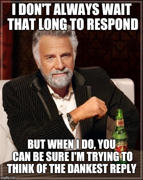 The Most Interesting Man In The World Meme | I DON'T ALWAYS WAIT THAT LONG TO RESPOND BUT WHEN I DO, YOU CAN BE SURE I'M TRYING TO THINK OF THE DANKEST REPLY | image tagged in memes,the most interesting man in the world | made w/ Imgflip meme maker