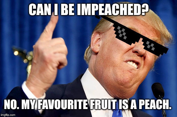 Donald Trump | CAN I BE IMPEACHED? NO. MY FAVOURITE FRUIT IS A PEACH. | image tagged in donald trump | made w/ Imgflip meme maker