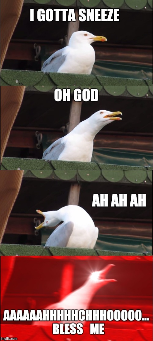 Inhaling Seagull | I GOTTA SNEEZE; OH GOD; AH AH AH; AAAAAAHHHHHCHHHOOOOO...  BLESS   ME | image tagged in memes,inhaling seagull | made w/ Imgflip meme maker